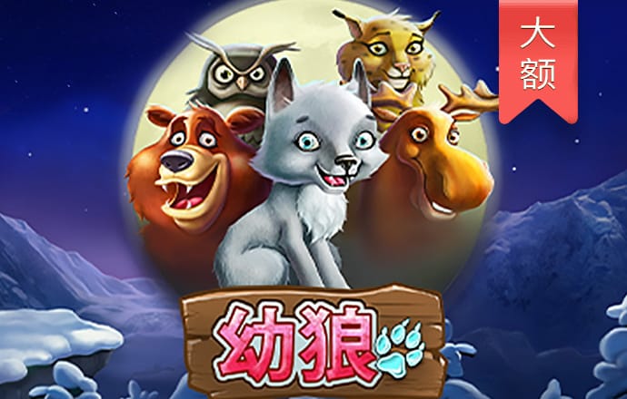 金年华体育平台